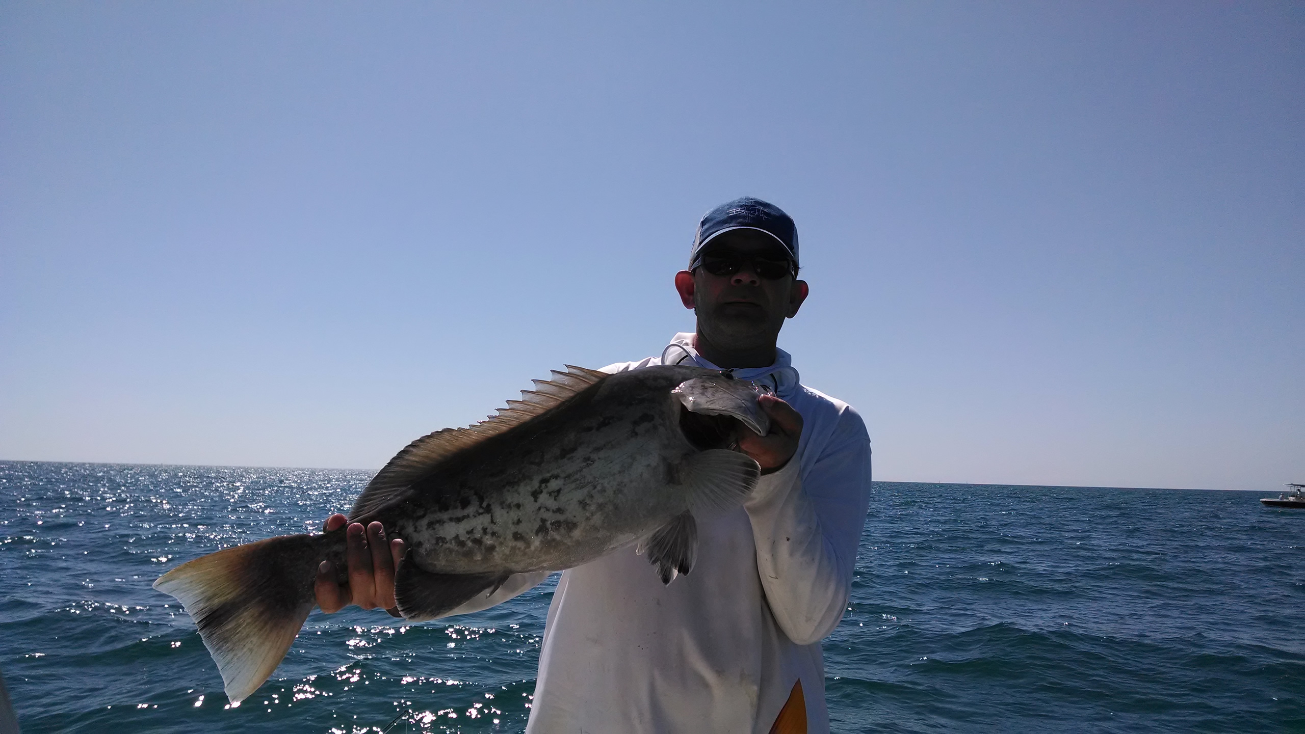 SiestaKation  Siesta Key Charter Fishing, Sunset Dolphin and Sightseeing  Tours