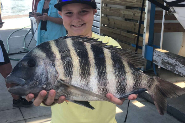 SiestaKation Charters sheepshead