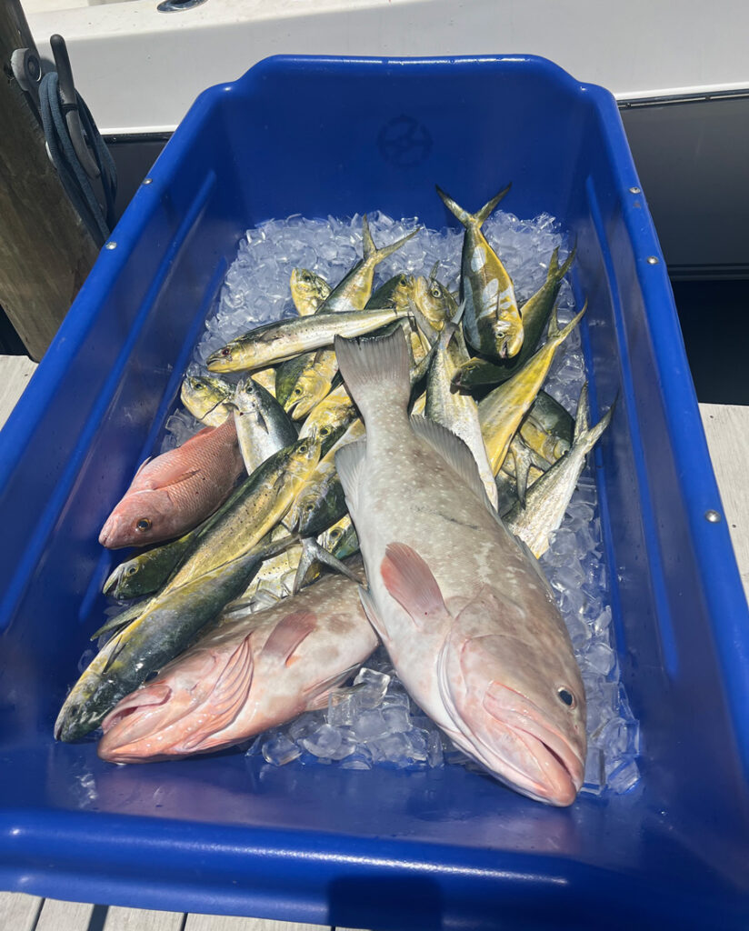 SiestaKation Charters fishbox